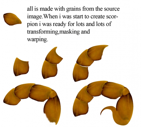Creation of Wheat Scorpion: Step 1